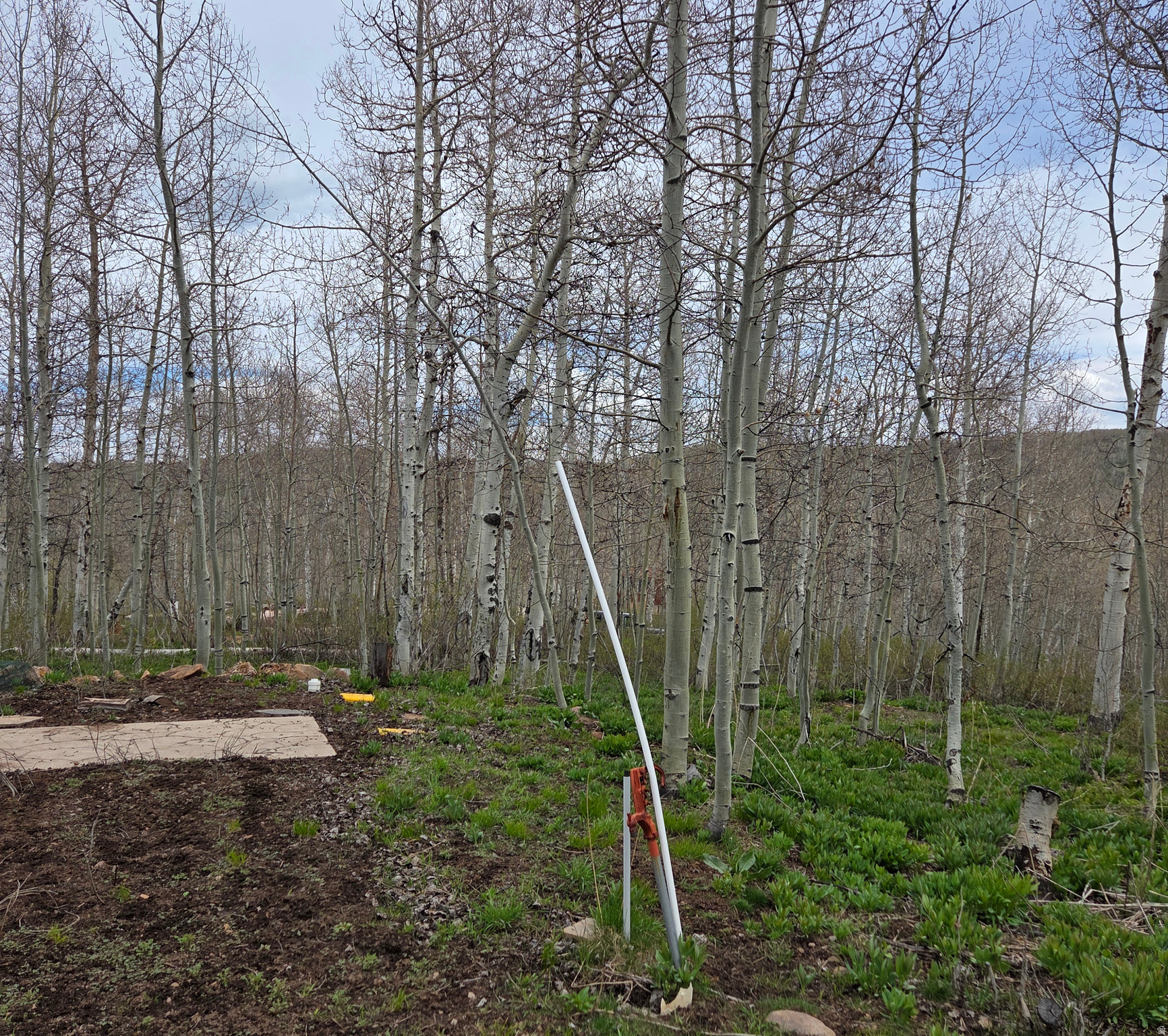 7565 N JIM BRIDGER DR Unit: H52