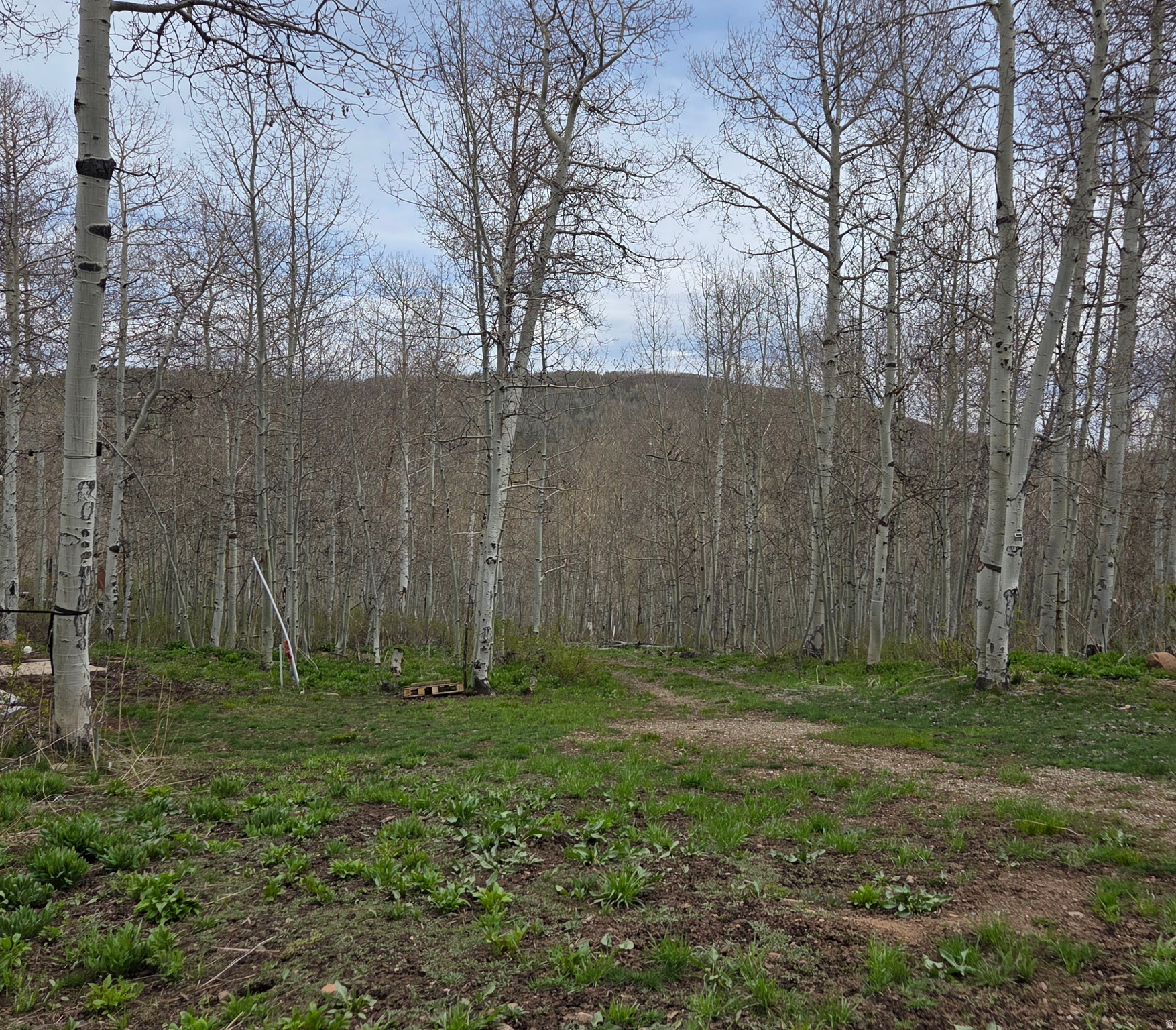 7565 N JIM BRIDGER DR Unit: H52