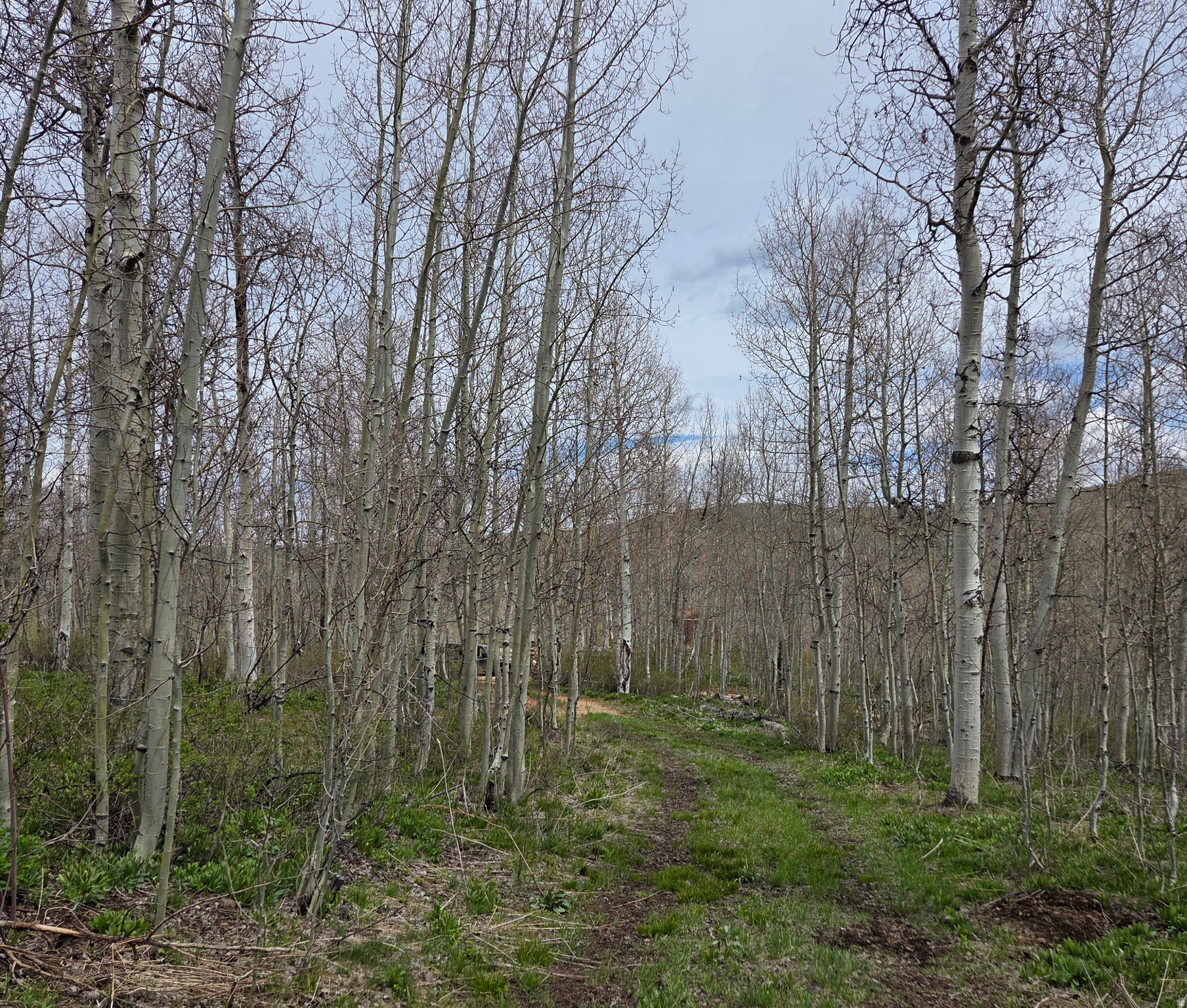 7565 N JIM BRIDGER DR Unit: H52