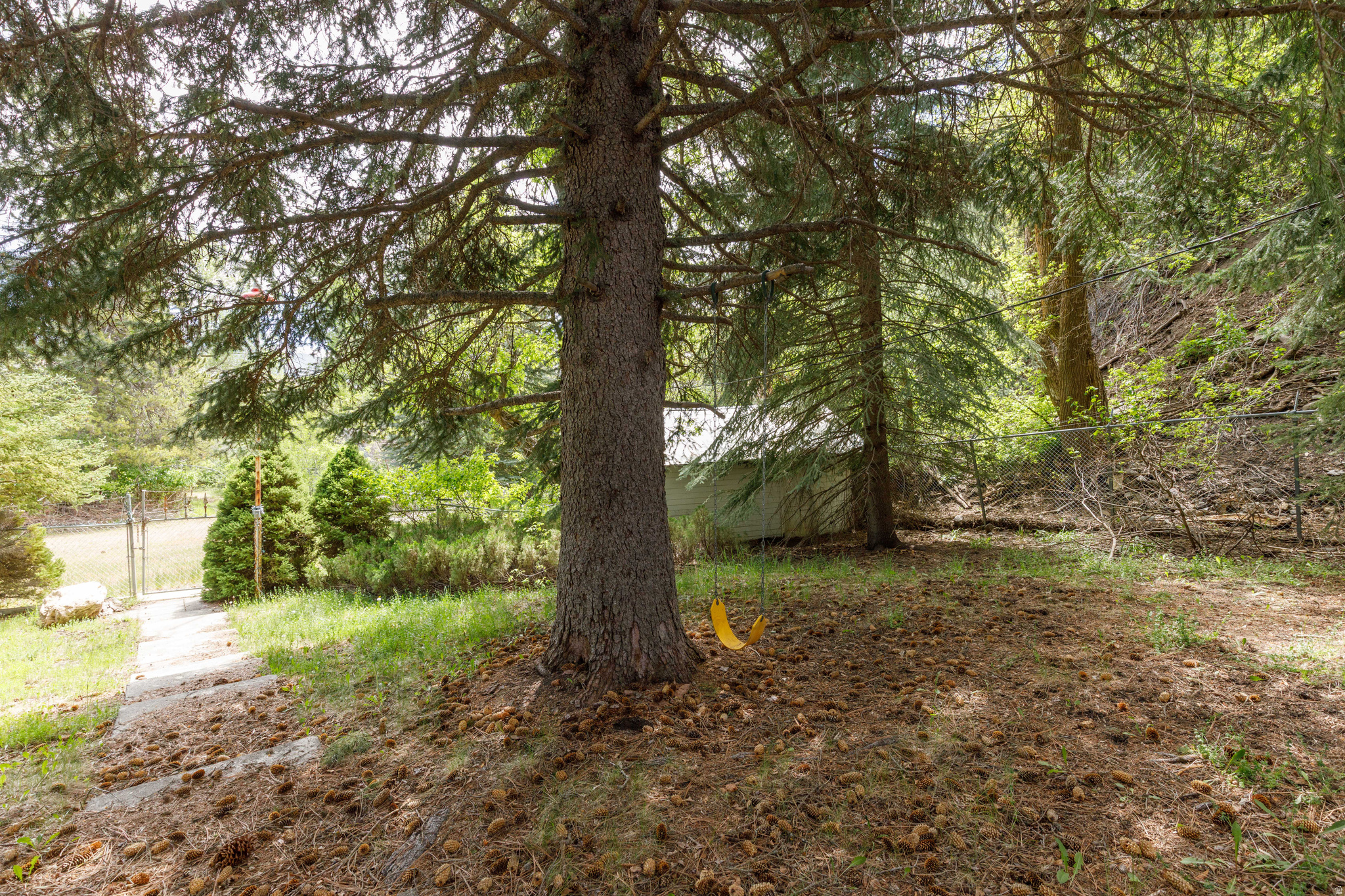 6449 N NORTH FORK RD