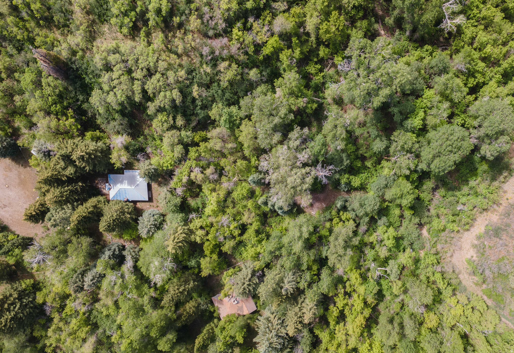 6449 N NORTH FORK RD