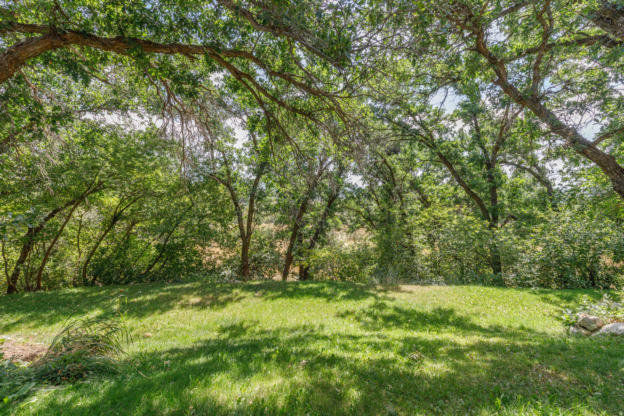 3448 N FULLER DR