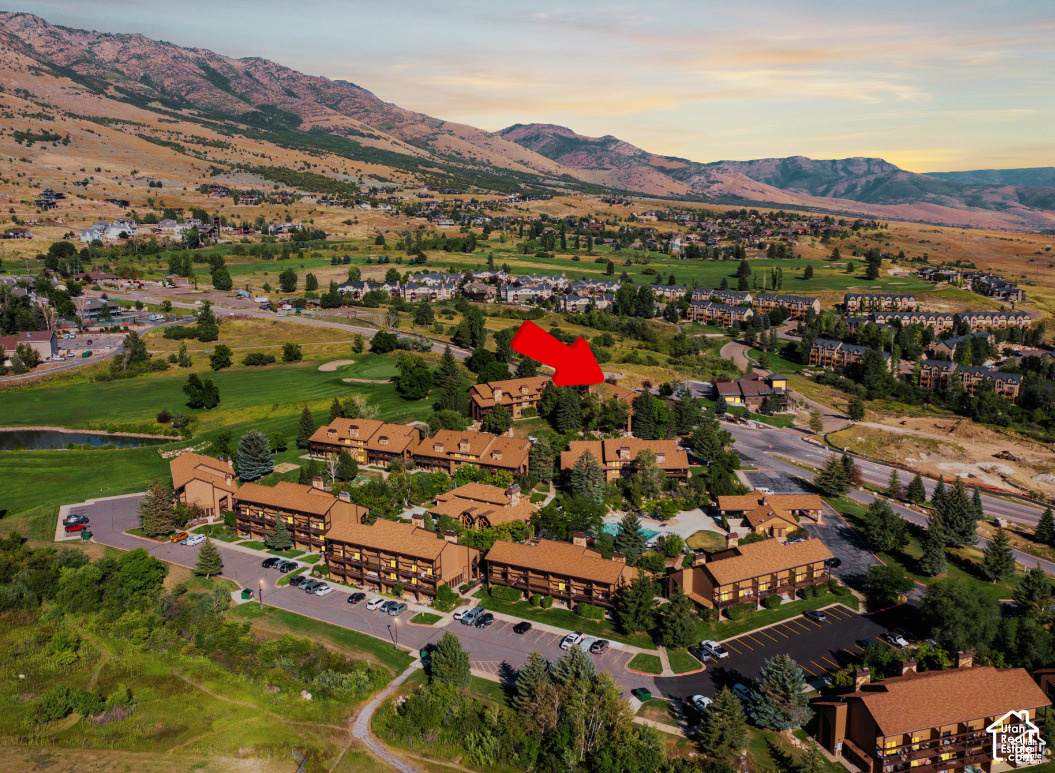 3615 N WOLF LODGE DR #1306