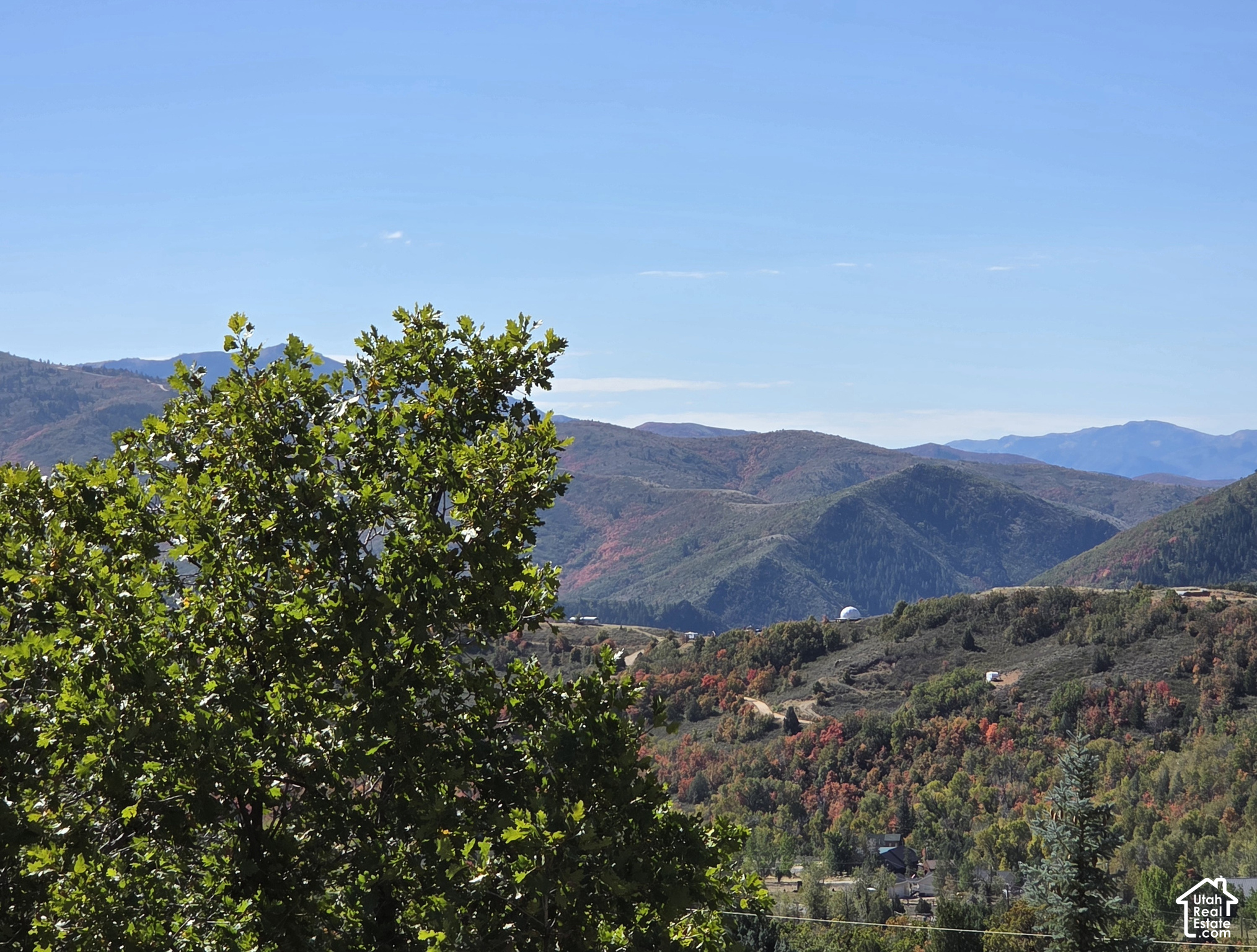 Layered Utah mountains and wooded foothills in early autumn, framed by a leafy tree.