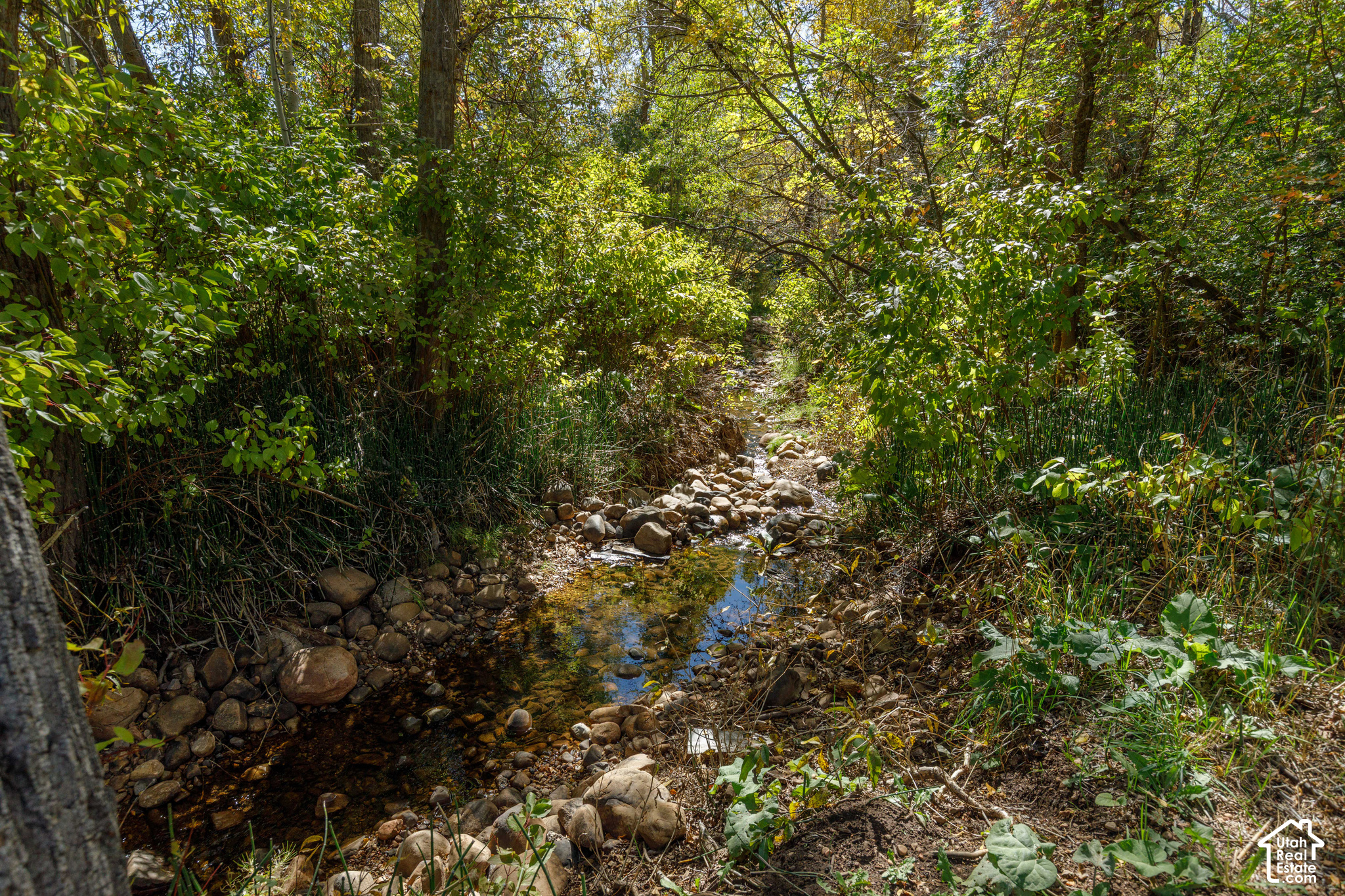 2950 N HIGH AVE Unit: 151