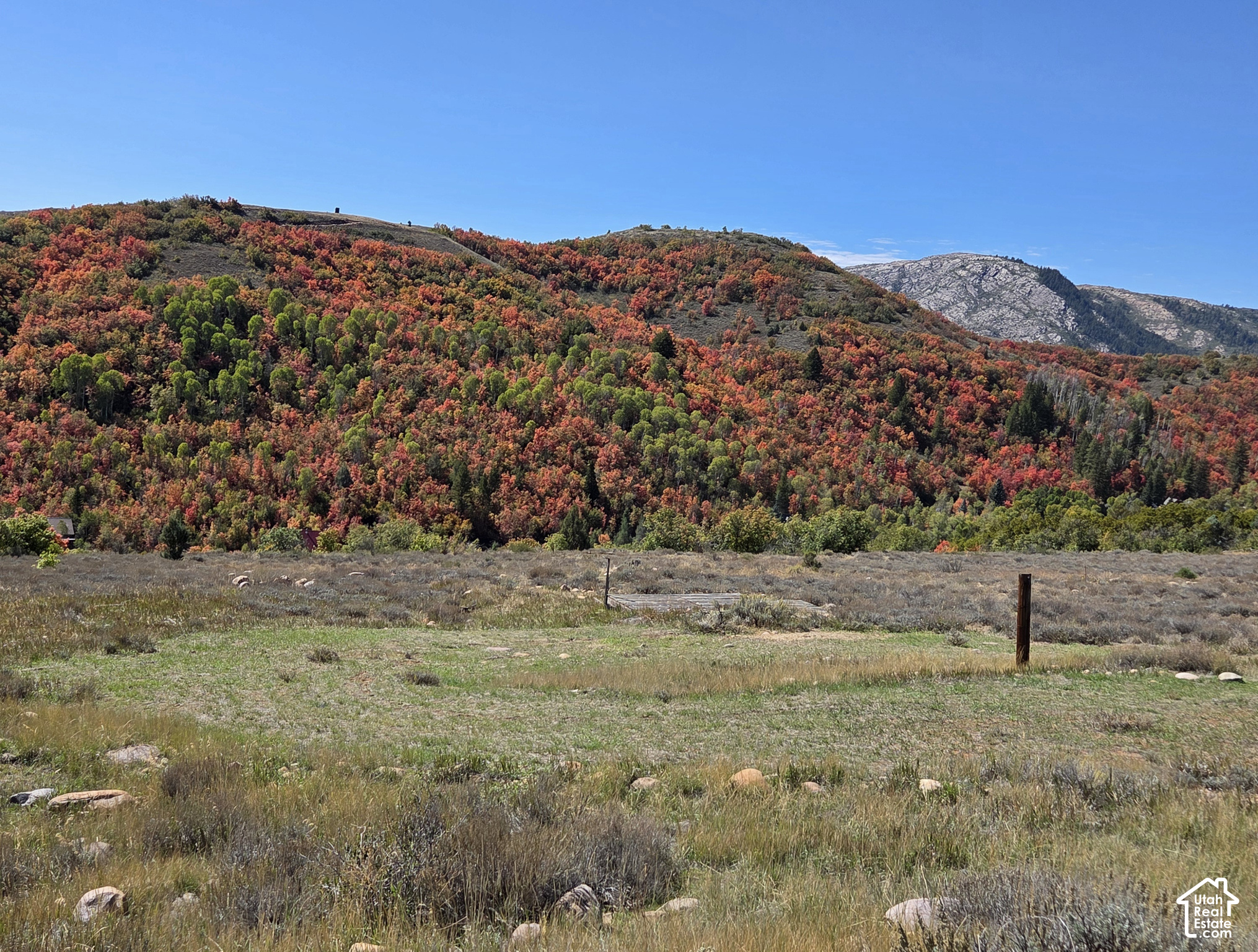 Open grassland beneath colorful autumn-covered hills and a pale rocky mountain ridge.