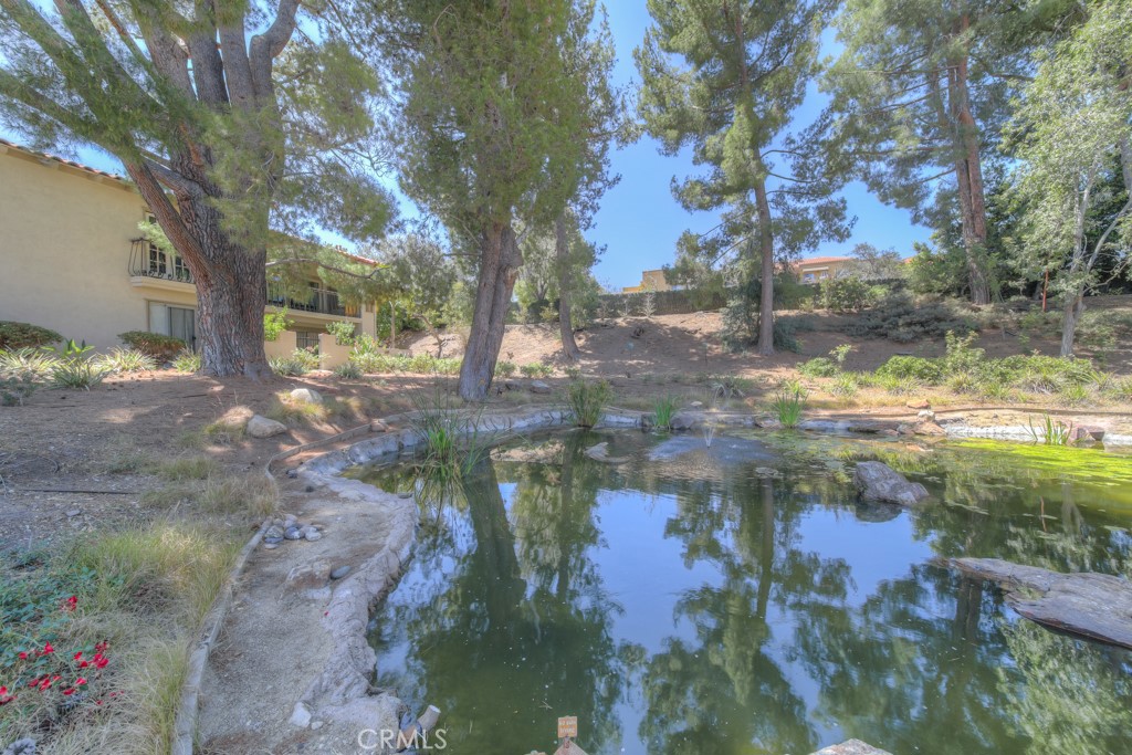 12023 Caminito Campana