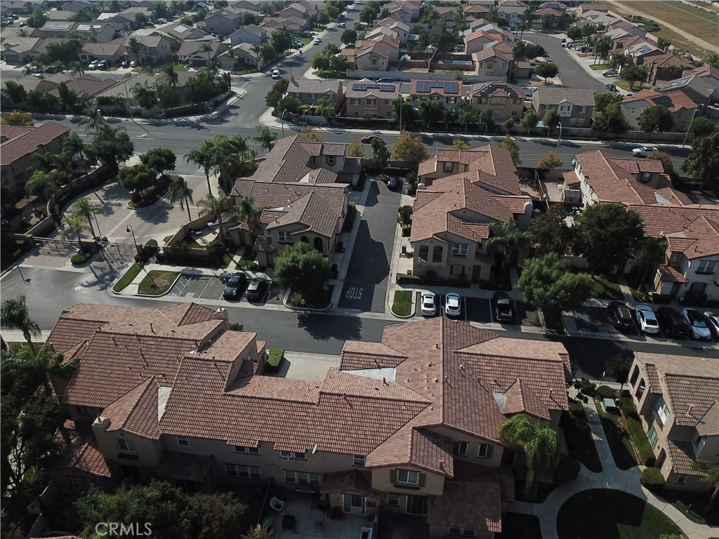 1625 Perennial Court