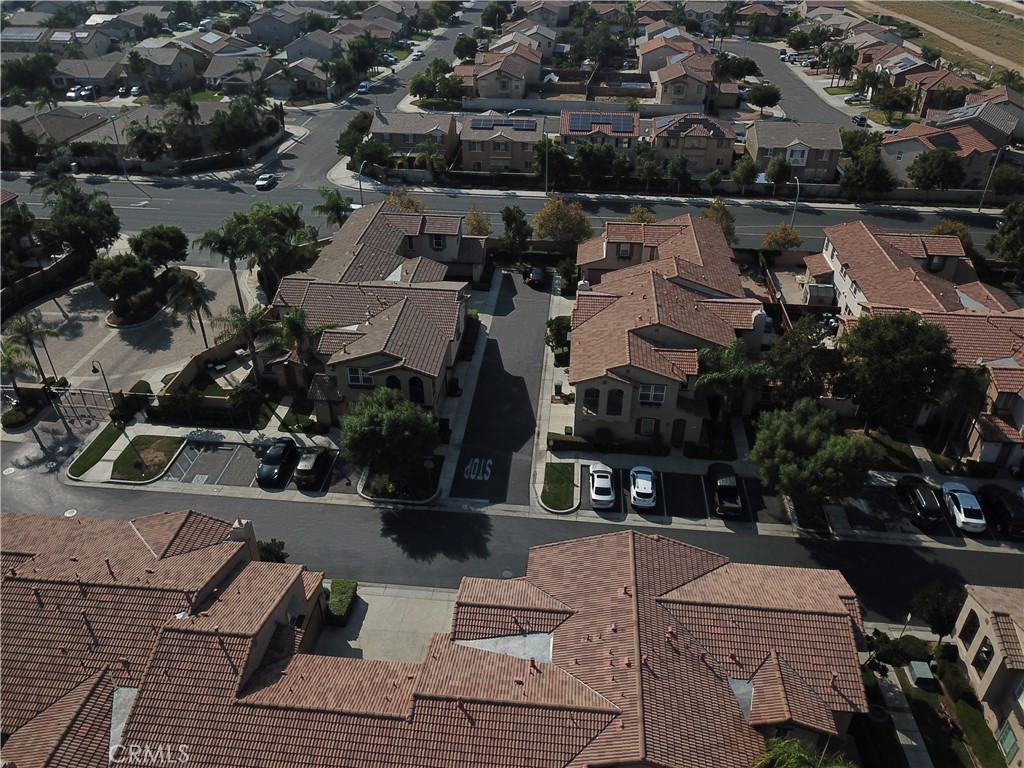 1625 Perennial Court