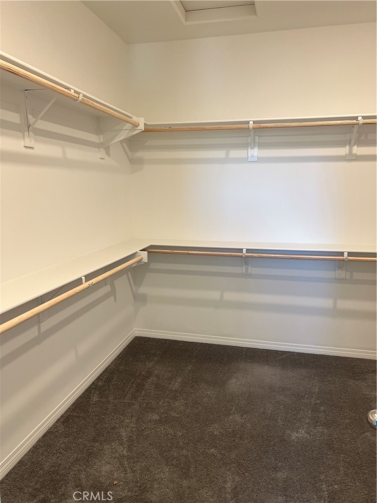 36351 Elizabeth 17101