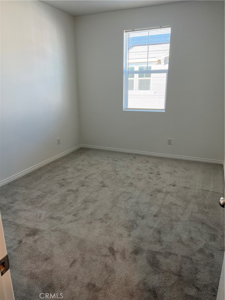 36351 Elizabeth 17101