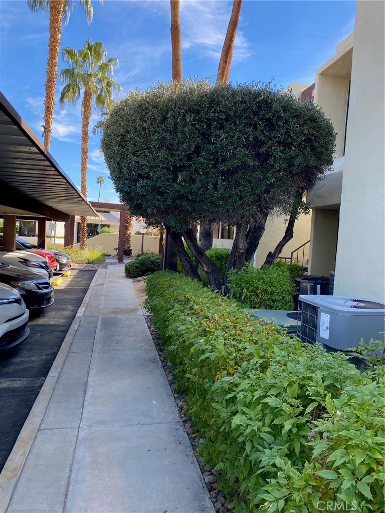 1655 E Palm Canyon Drive 105