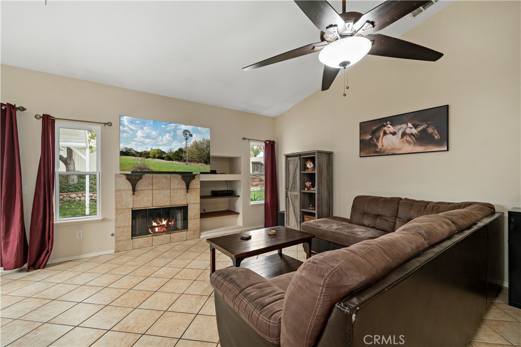 31394 Frans Hals Drive