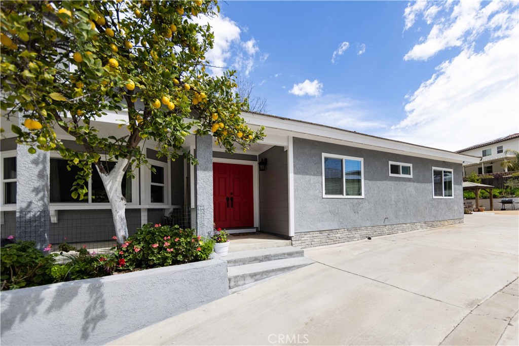 29724 Yellow Gold Drive