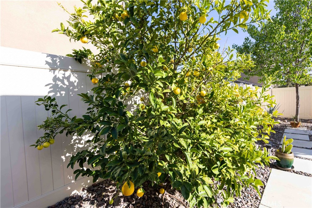 31865 Wild Ginger Place