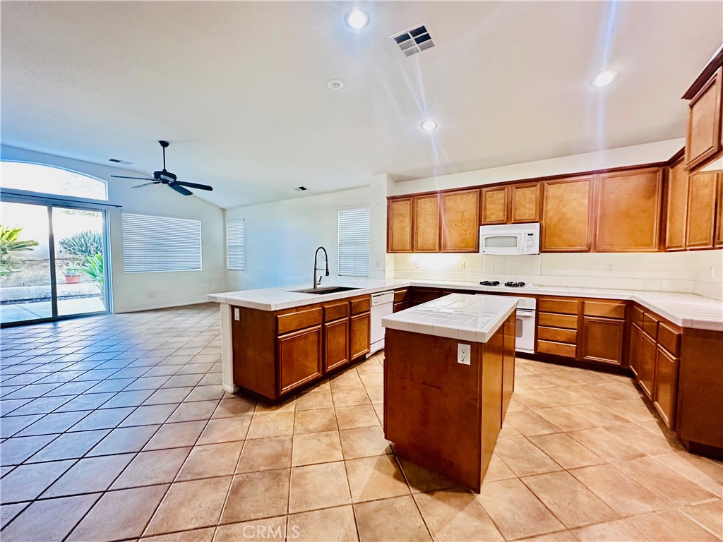 29043 Silver Star Dr