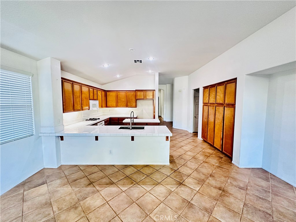 29043 Silver Star Dr