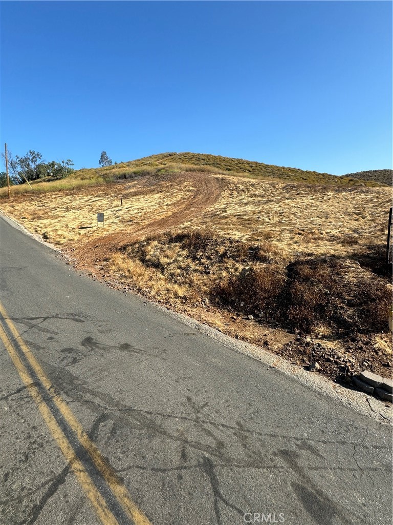 0 Las Flores #341-170-005