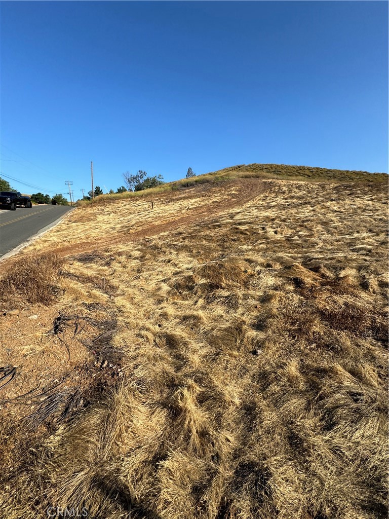 0 Las Flores #341-170-005