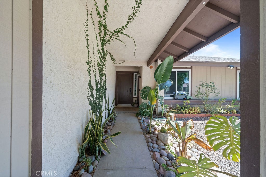 25584 White Oak Drive