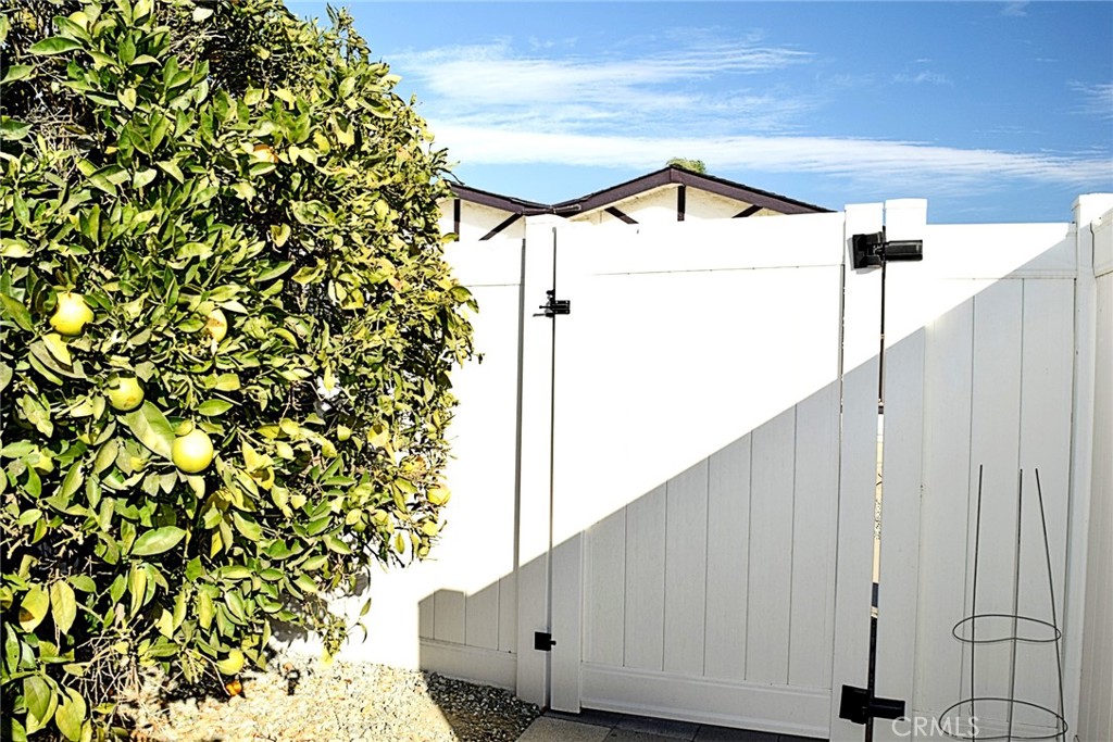 974 San Gorgonio Way