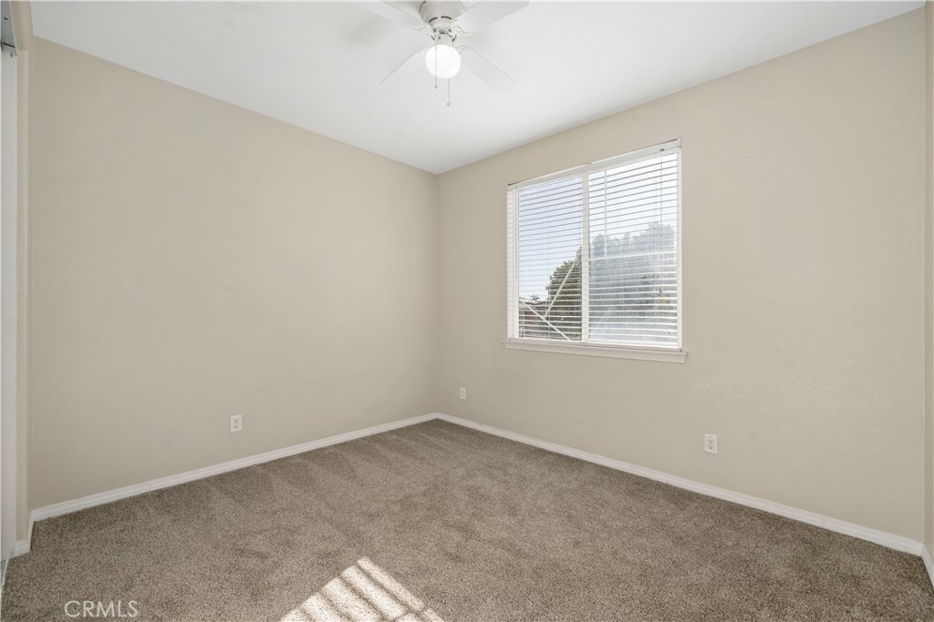 26178 Jaylene Street