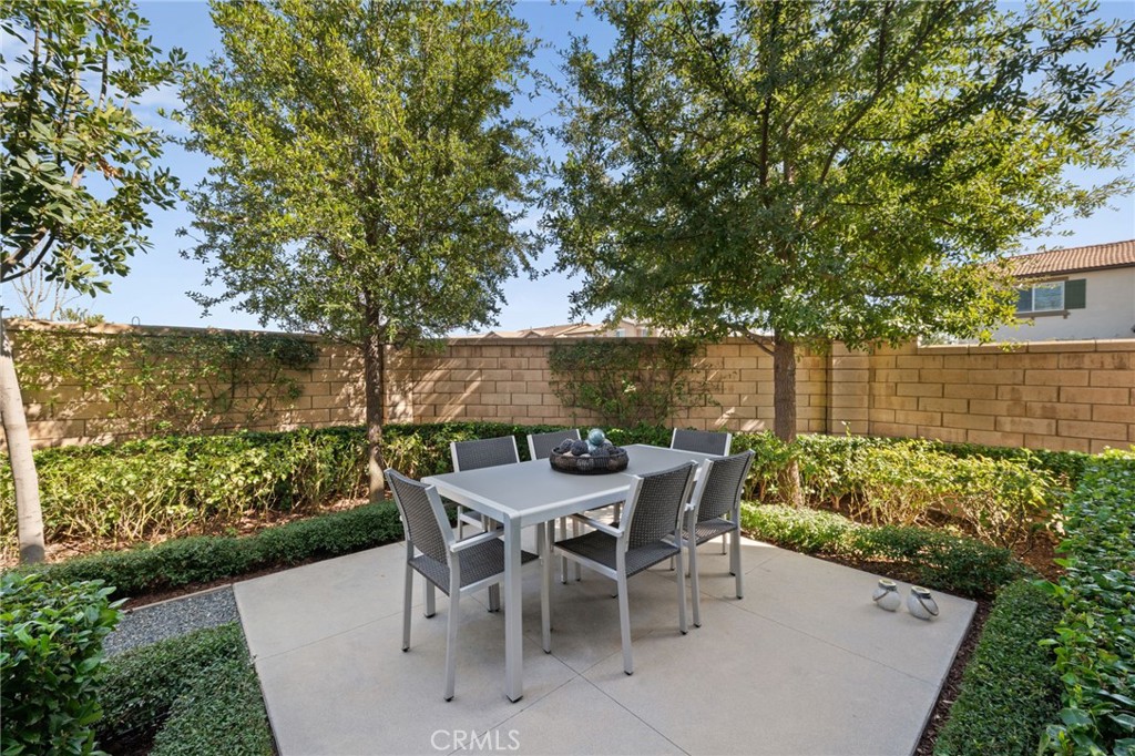 41449 Winterberry Street