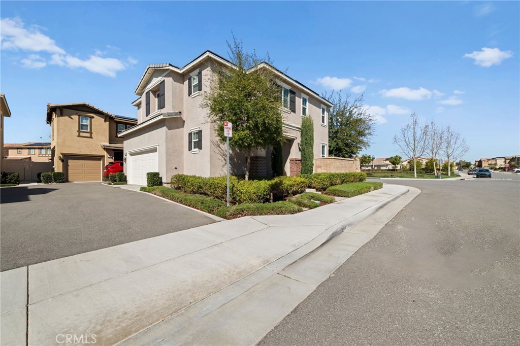 41449 Winterberry Street