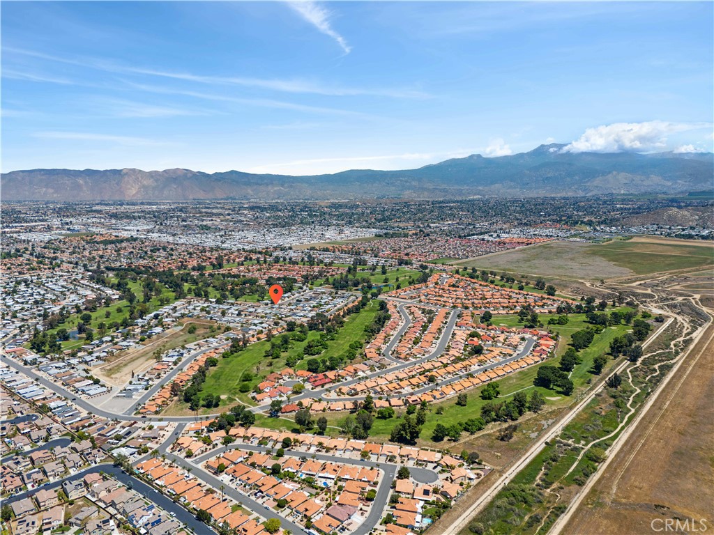 1562 Willow Leaf Drive