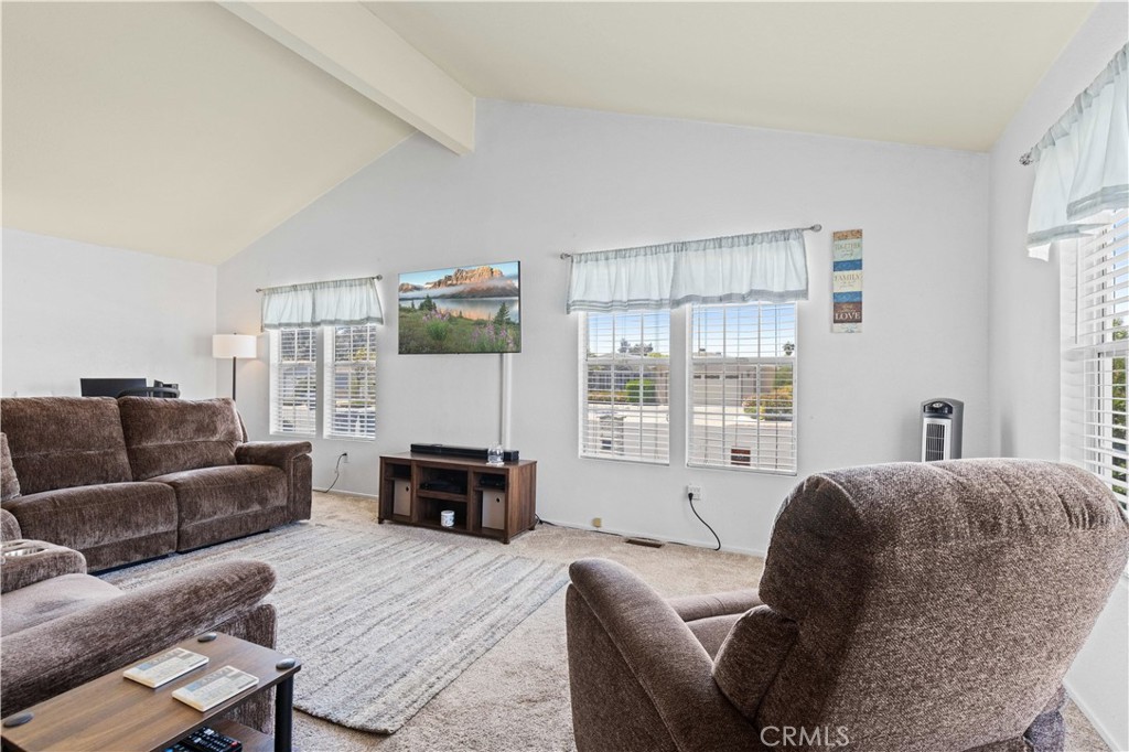 1562 Willow Leaf Drive