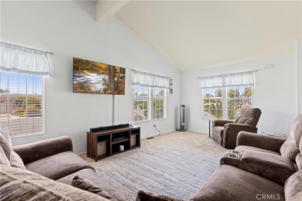 1562 Willow Leaf Drive