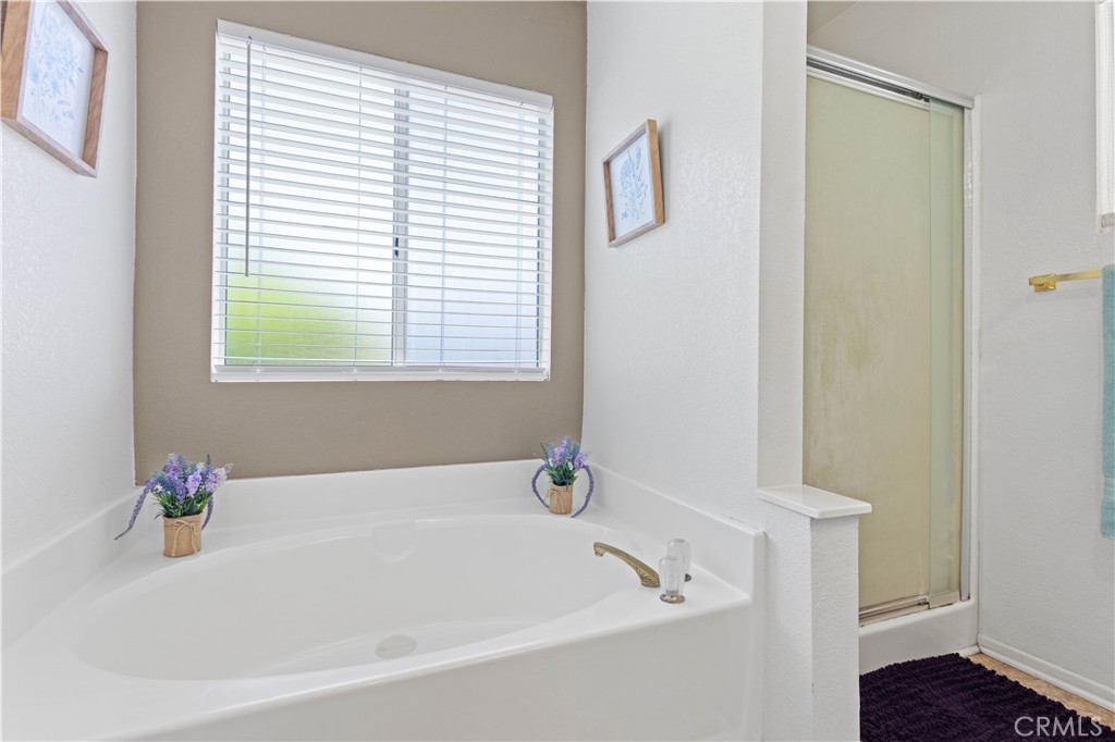 1562 Willow Leaf Drive