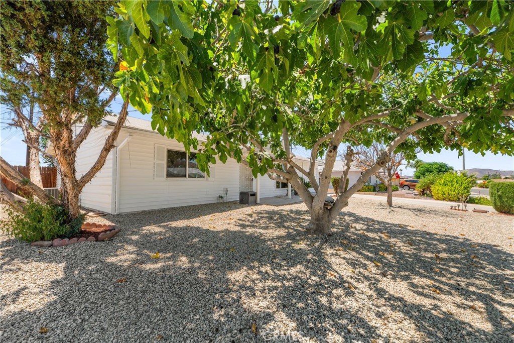 29921 Thornhill Drive