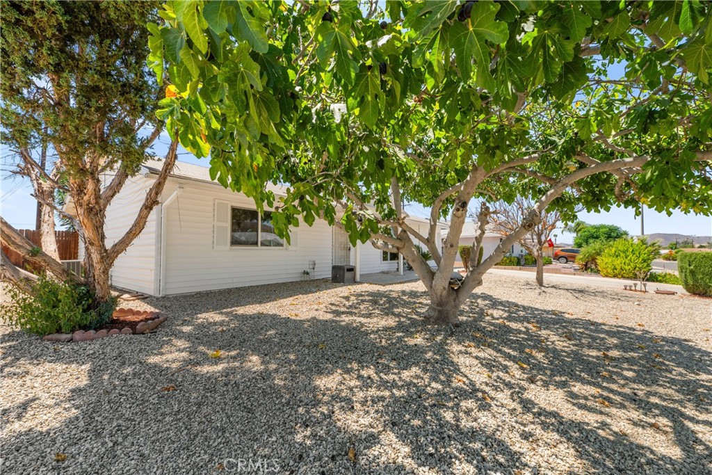 29921 Thornhill Drive