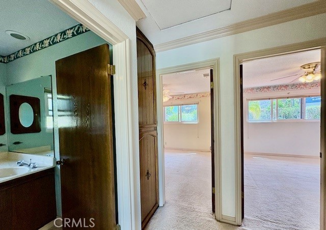 30417 Golden Gate Drive