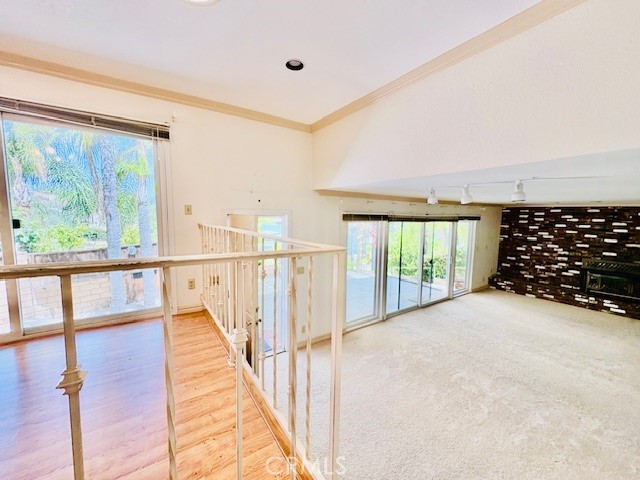 30417 Golden Gate Drive