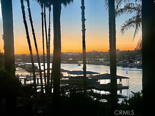 30417 Golden Gate Drive