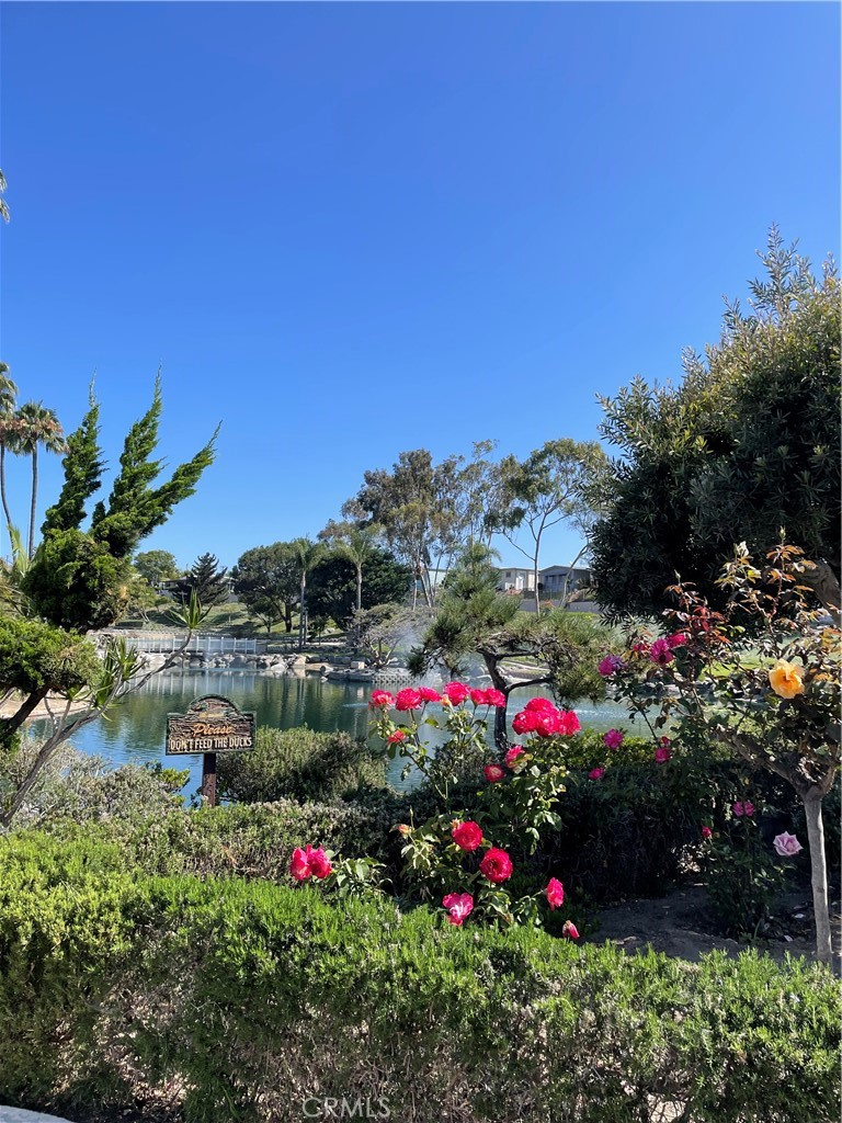 201 Bright Creek Lane