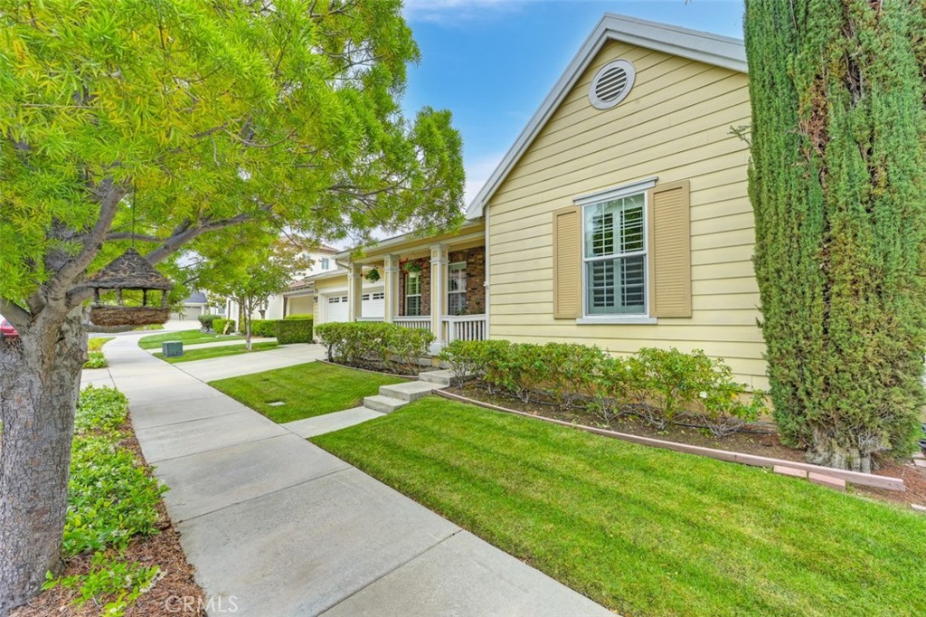 28978 Williston Court