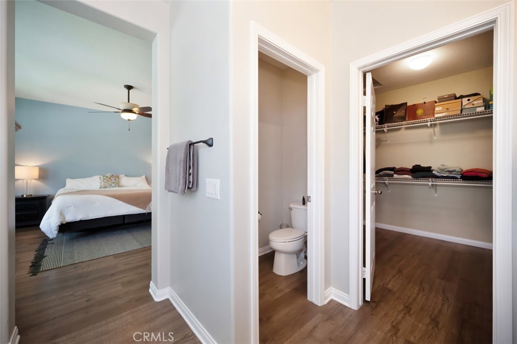 28978 Williston Court