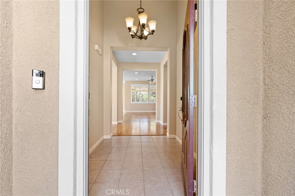 26135 Palm Breeze Lane