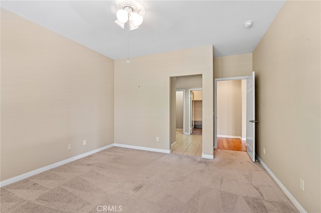 26135 Palm Breeze Lane