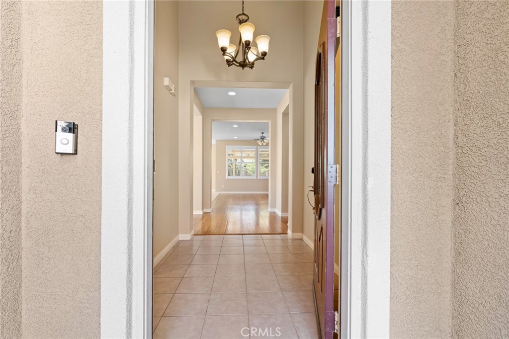 26135 Palm Breeze Lane