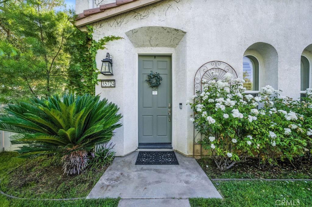 35724 Kittentails Lane