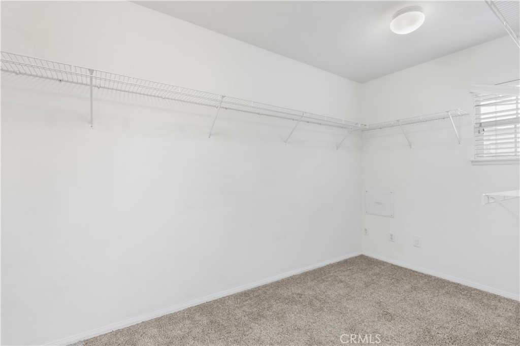 27158 Tube Rose Street