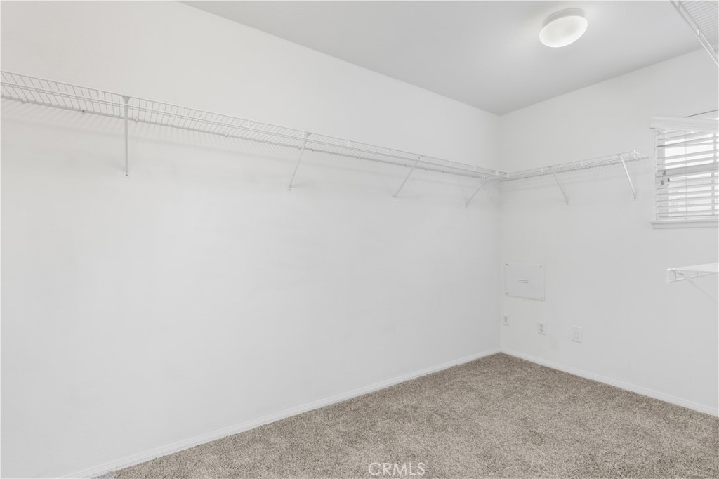 27158 Tube Rose Street