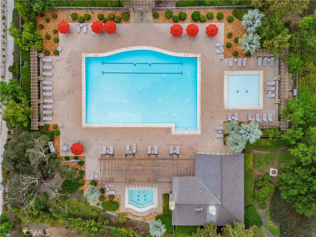 27158 Tube Rose Street