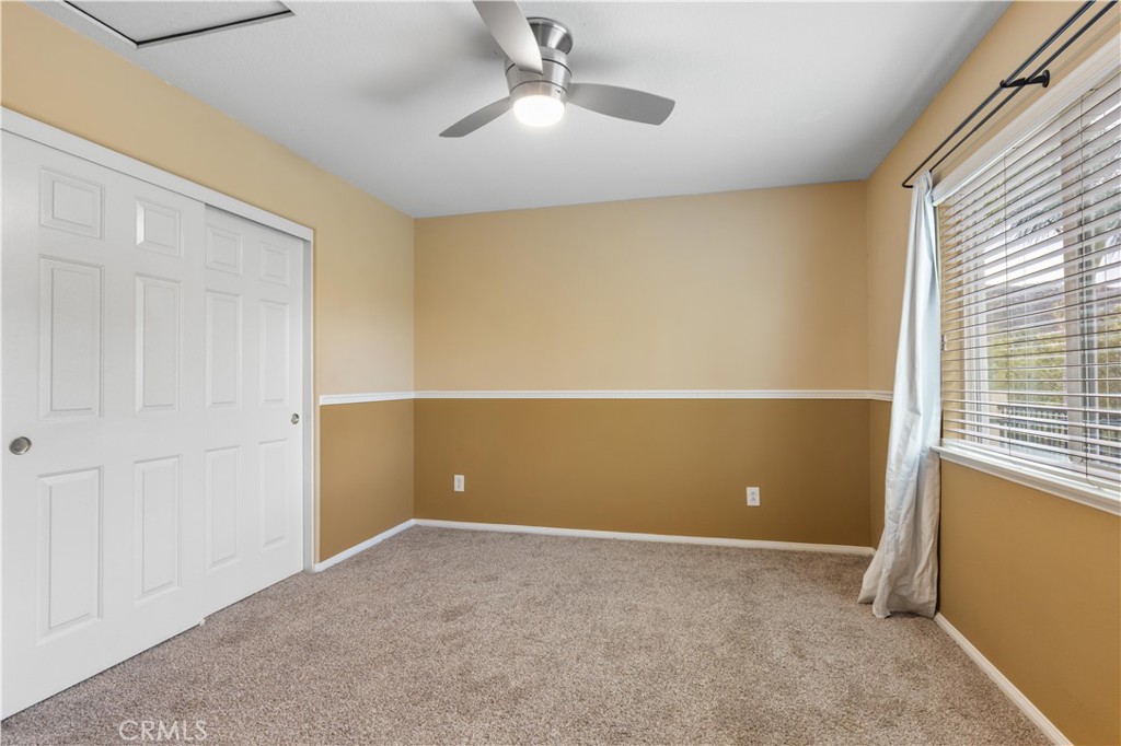 27158 Tube Rose Street