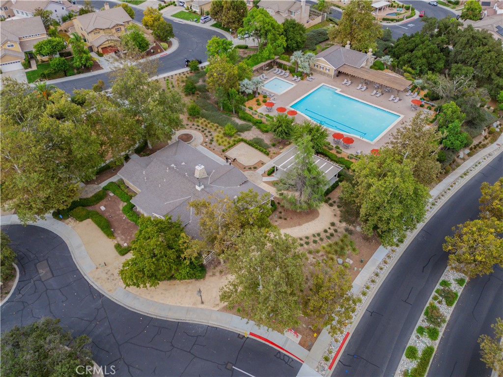 27158 Tube Rose Street