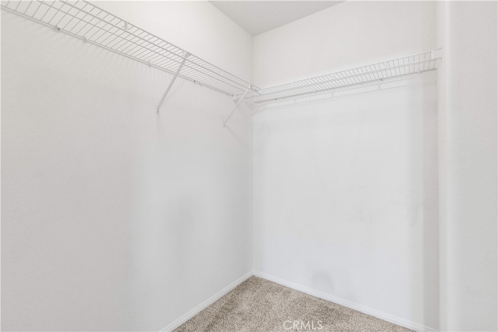 27158 Tube Rose Street